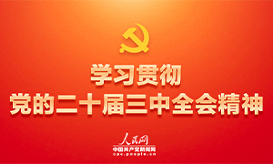 学习贯彻党的二十届三中全会精神